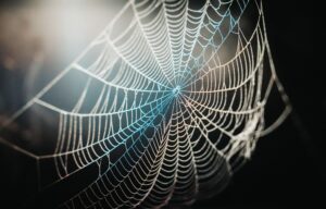 仮想通貨初心者の失敗談